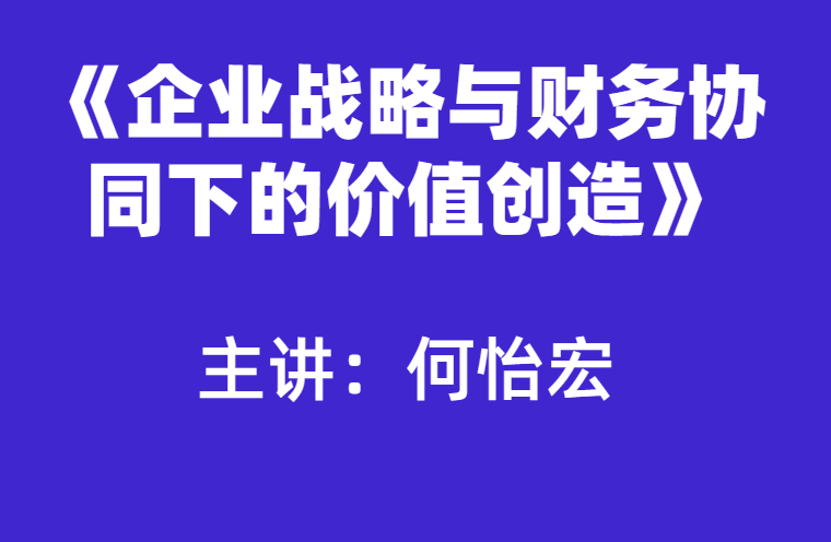 何怡宏：企业战略与财务协同下的价值创造