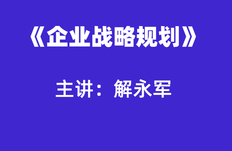 解永军：企业战略规划