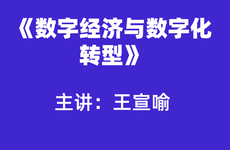 王宣喻：数字经济与数字化转型