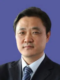 贺颖奇 贺颖奇