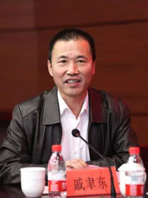戚聿东