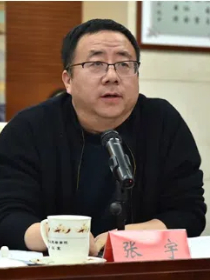 张宇教授