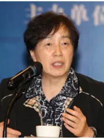 高新民