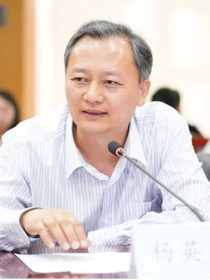 杨英杰