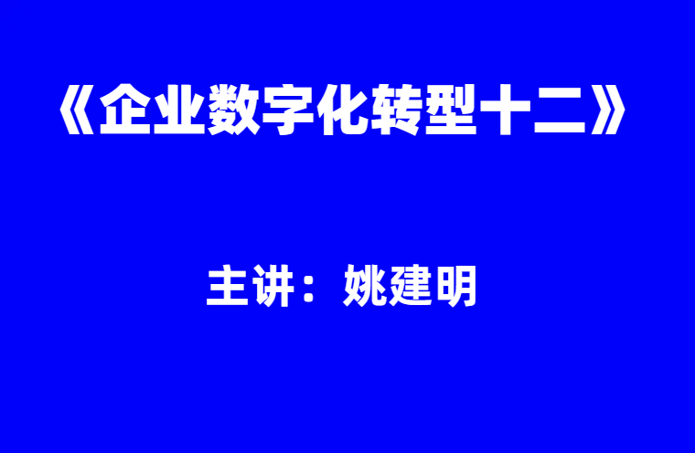 姚建明：《企业数字化转型》