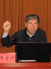 王宝付 王宝付