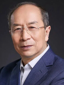 金一南