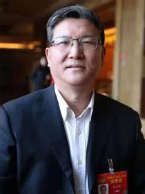 张占斌