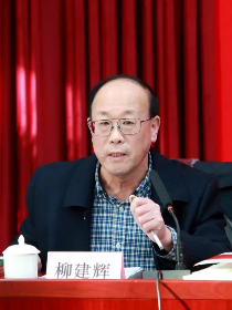 柳建辉