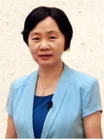王小鸿