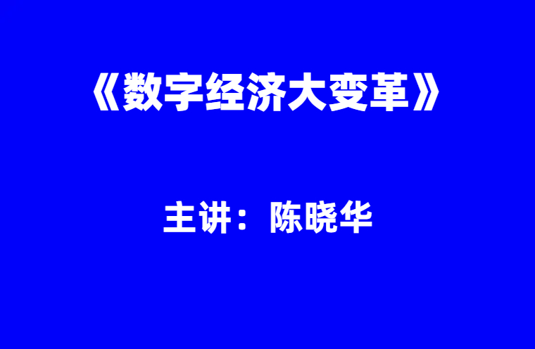 陈晓华：《数字经济大变革》