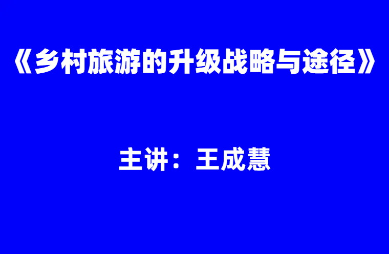 王成慧：《乡村旅游的升级战略与途径》