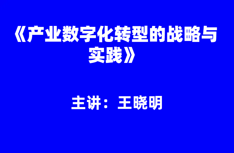 王晓明：《产业数字化转型的战略与实践》
