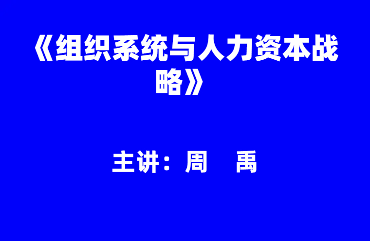 周禹：《组织系统与人力资本战略升级》