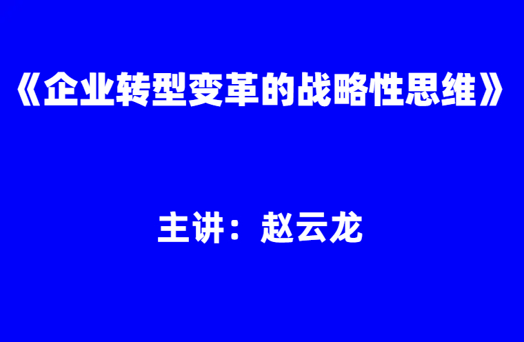 赵云龙：《企业转型变革的战略性思维》