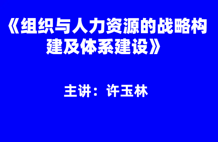 许玉林：《组织与人力资源的战略构建及体系建设》