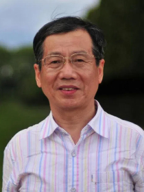 杨泽波