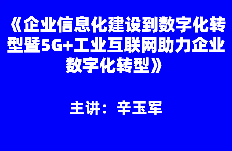辛玉军：《企业信息化建设及数字化转型》