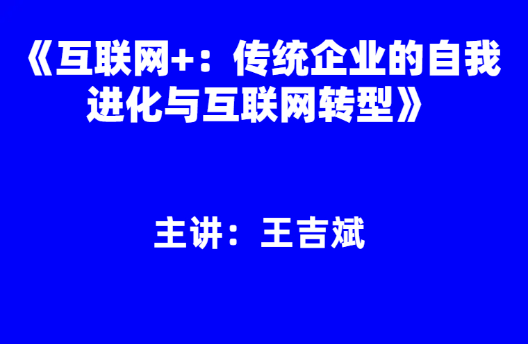 王吉斌：《互联网+：传统企业的自我进化与互联网转型》
