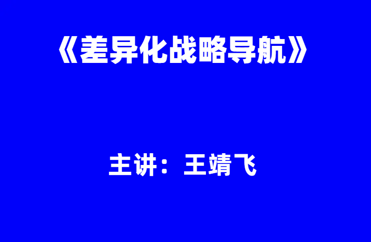 王靖飞：《差异化战略导航》