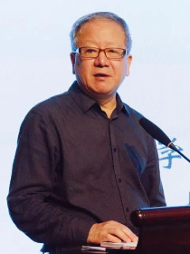 楚树龙
