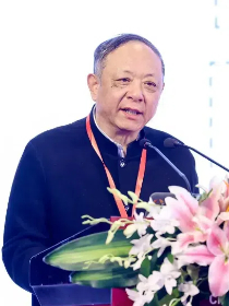 陈小洪