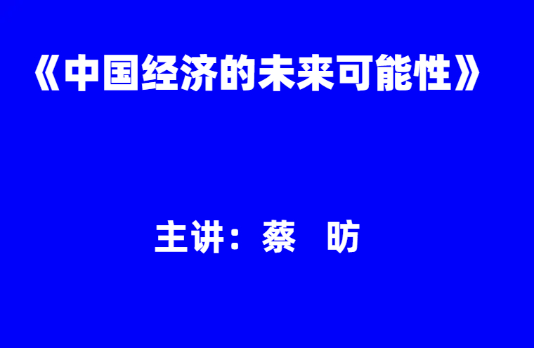 蔡昉：《中国经济的未来可能性》