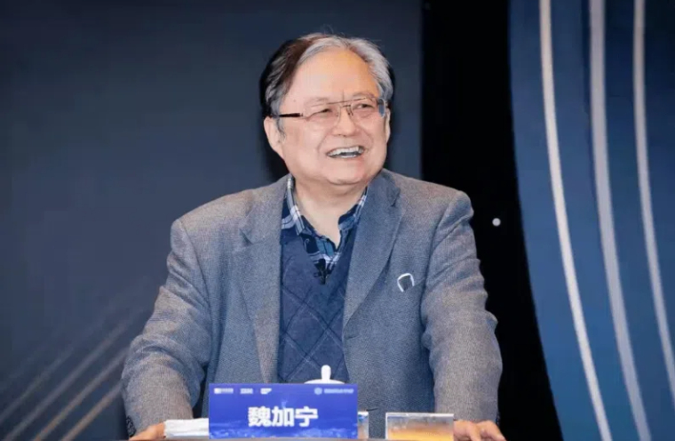 魏加宁：《如何在数字化时代实现创新型增长》
