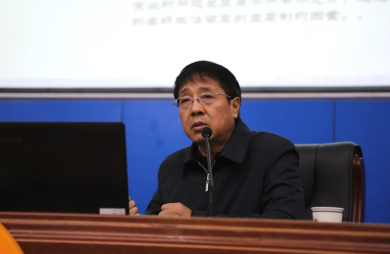 杨建龙：《中国新型城镇化的前景与机遇》