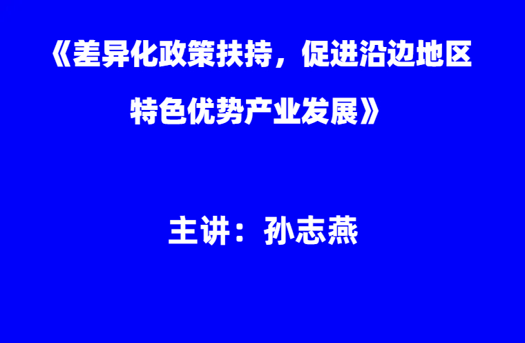 孙志燕：《差异化政策扶持，促进沿边地区特色优势产业发展》
