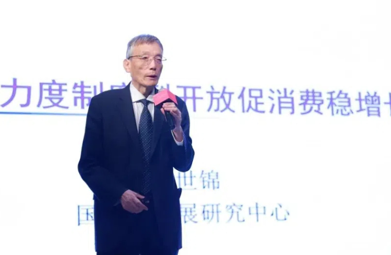 刘世锦：《加大结构性改革，真正促进消费增长》