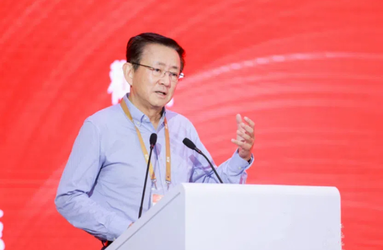 樊纲：《中国经济波动与持续增长》