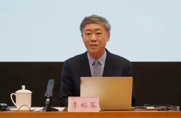 李稻葵：《大变局中的中国经济》