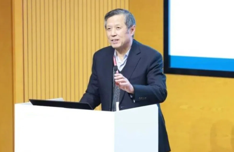 许宪春：《数字经济发展给政府统计带来的新挑战》