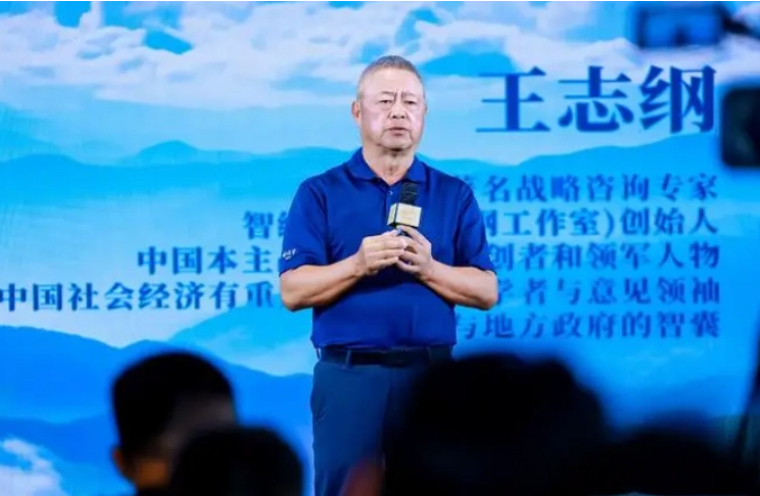 王志纲：《文明的力量》