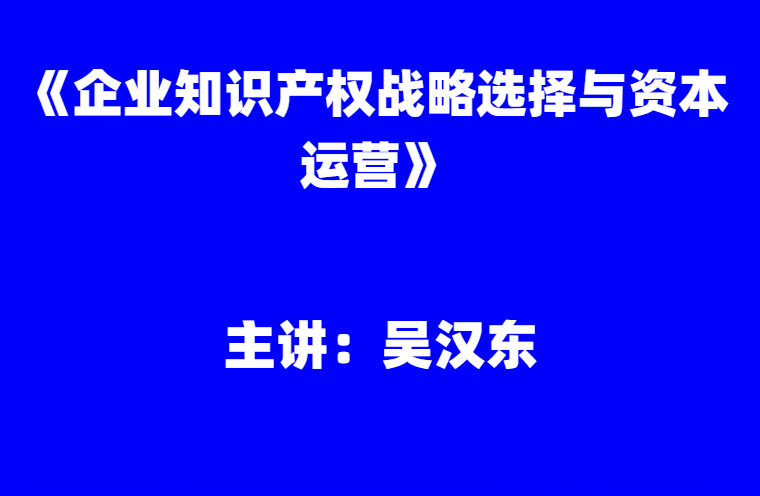 吴汉东：《企业知识产权战略选择与资本运营》