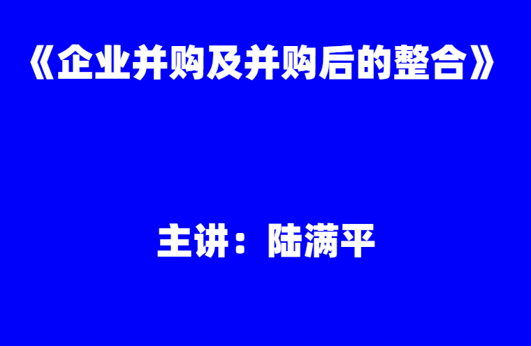 陆满平：《企业并购及并购后的整合》
