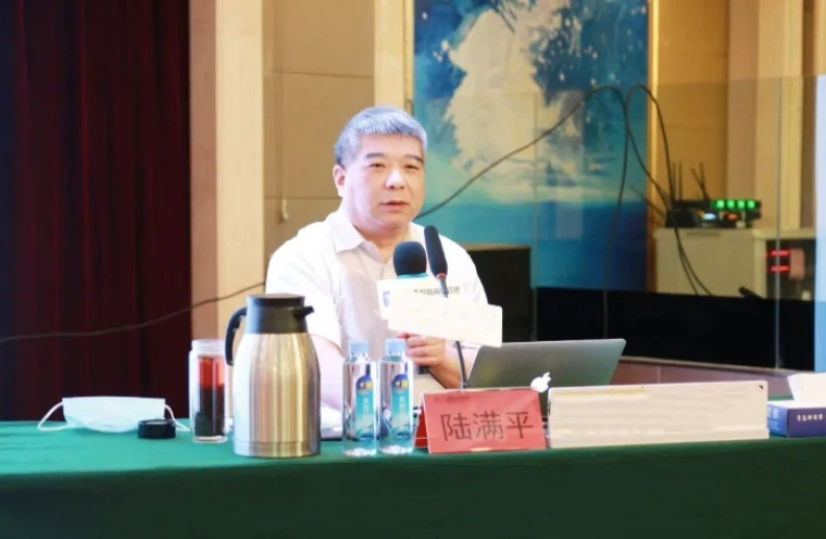 陆满平：《对大小非应征收资本利得税》