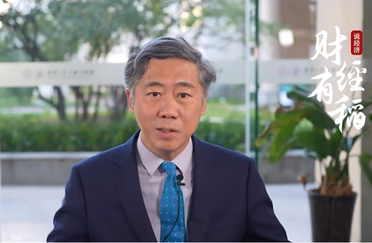 李稻葵：《市场经济既要遵循规律又要适当干预》