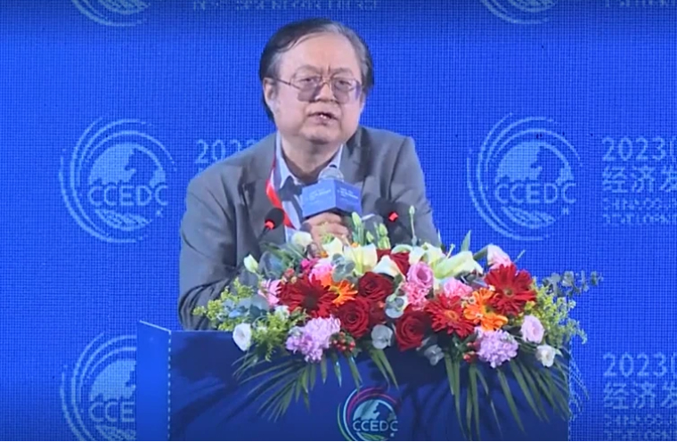 魏加宁：《发展民营经济要奉行长期主义》