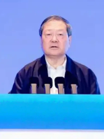 贾承造 贾承造