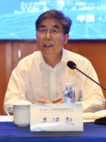 王运敏 王运敏