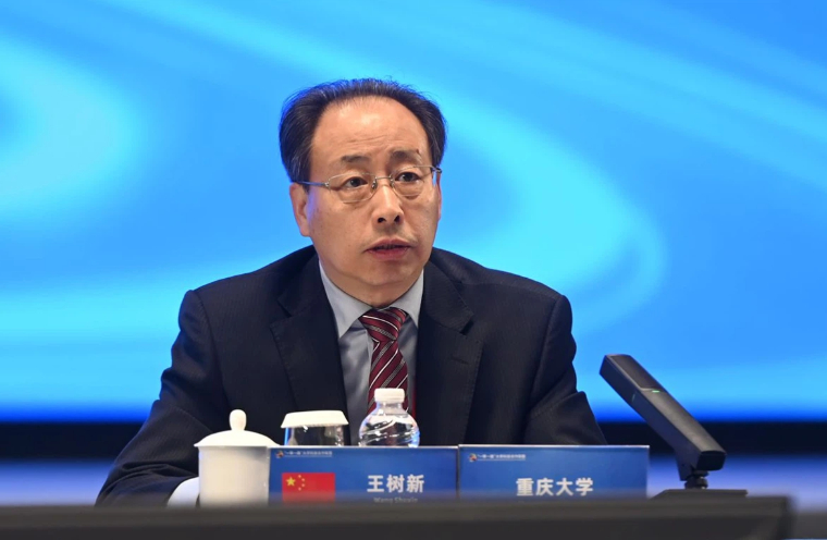 王树新：《以机制变革激活人工智能创新内生动力》