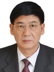 刘文清 刘文清